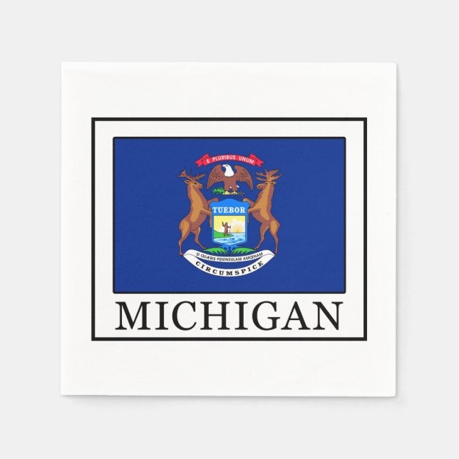 Serviettes Jetables Michigan (Devant)