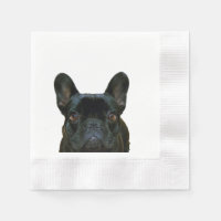 Mignon Black French Bulldog Frenchie Photo :