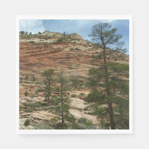 Serviettes Jetables Murs de roche usés dans le parc national de Zion