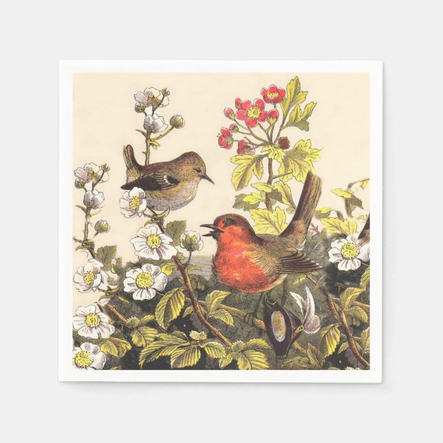 Serviettes Jetables Oiseaux de printemps Robin Oiseaux rouges (Devant)