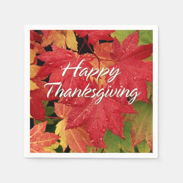 Serviettes Jetables Options du bon thanksgiving 8 (Devant)