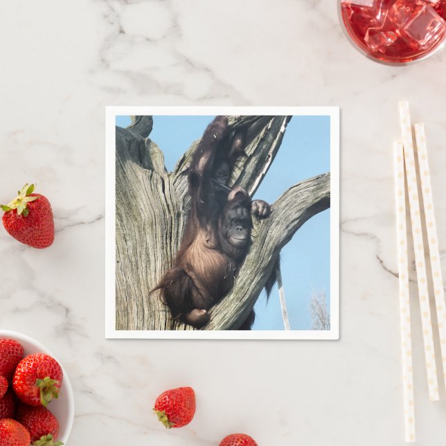 SERVIETTES JETABLES ORANGUTANS (En situation)