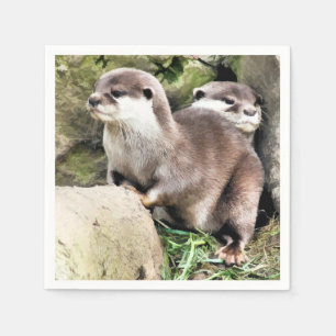 SERVIETTES JETABLES OTTERS