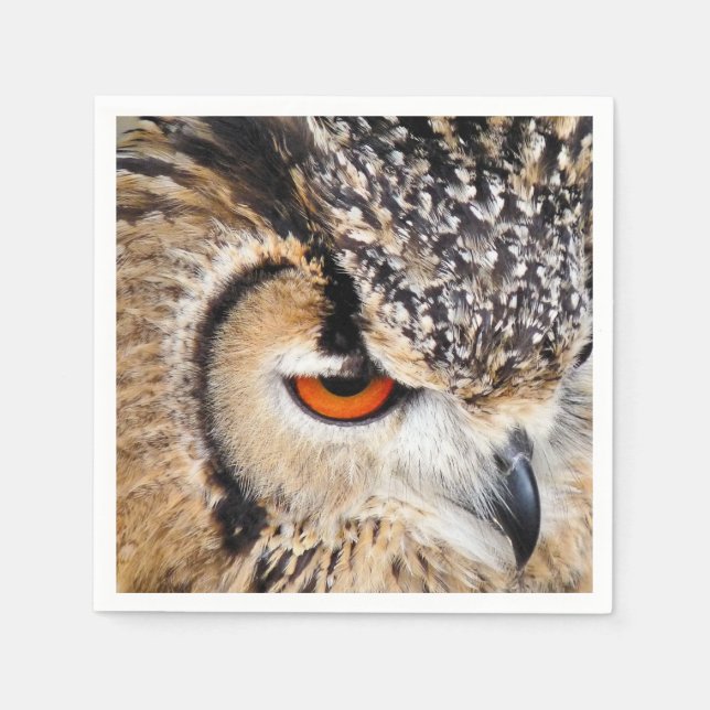 SERVIETTES JETABLES OWLS (Devant)