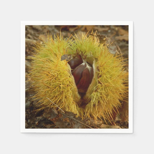 Serviettes Jetables Paper Napkins (Devant)