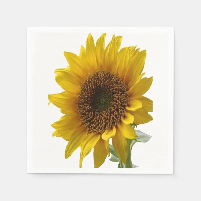 Serviettes Jetables Papier (Devant)