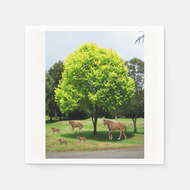 Serviettes Jetables Papier (Devant)