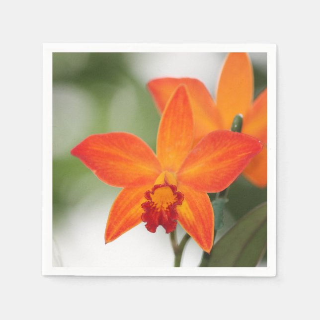 Serviettes Jetables Papier Orange Tropical Napkin (Devant)