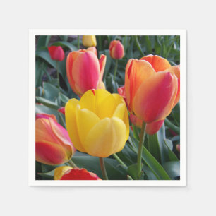 Serviettes Jetables Photo