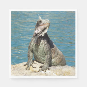 Serviettes Jetables Photographie de la faune tropicale Iguana à St. Th