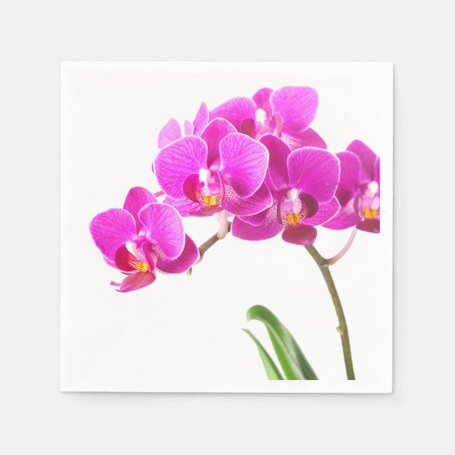 Serviettes Jetables Pink violet Dendrobium Orchidée Fleur tropicale (Devant)
