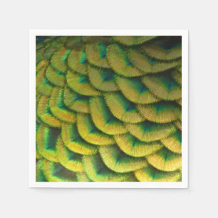 Serviettes Jetables Plumes de paon II Nature colorée