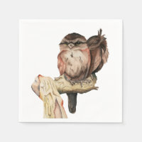 Portrait d'aquarelle des frères Owl