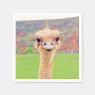 Serviettes Jetables Portrait d'autruche