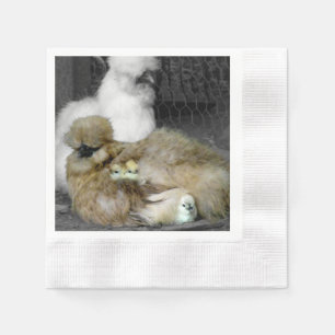 Serviettes Jetables Poules de Silkie avec poules Pékin hors des plumes