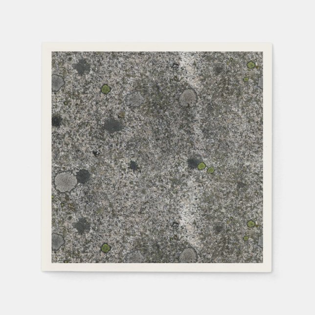 Serviettes Jetables Rocher de granit naturel avec mousse verte (Devant)