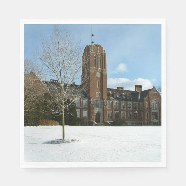 Serviettes Jetables Rockwell en hiver au Grove City College (Devant)