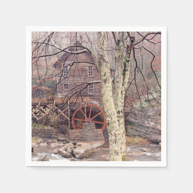 Serviettes Jetables Roue (Devant)