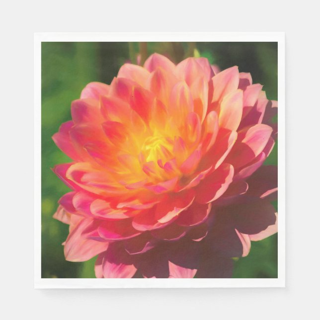 Serviettes Jetables Spectacle d'été (Devant)