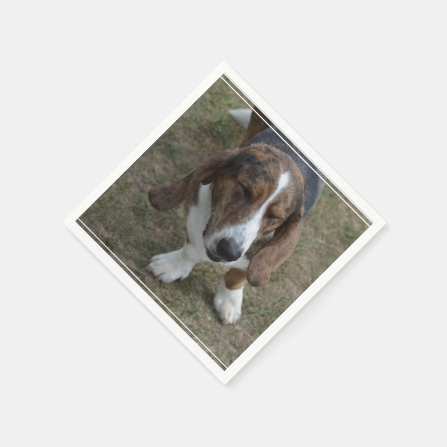 Serviettes Jetables Sweet Basset Hound (Coin)
