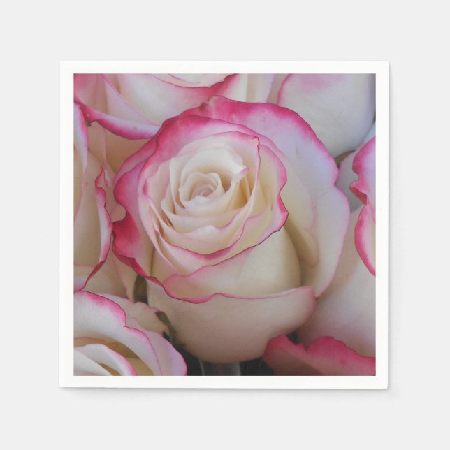 Serviettes Jetables Thamar (Devant)