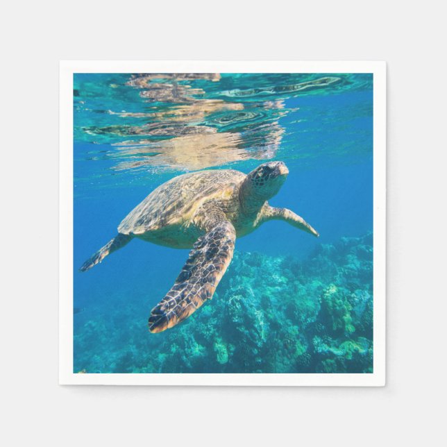 Serviettes Jetables Tortue de mer (Devant)