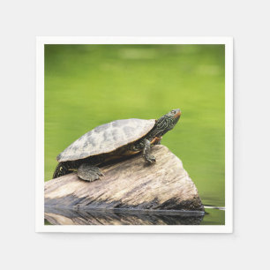 Serviettes Jetables Tortue peinte sur un bûcher