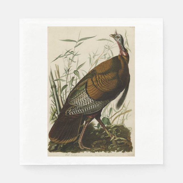 Serviettes Jetables Turquie sauvage de Thanksgiving John James Audubon (Devant)