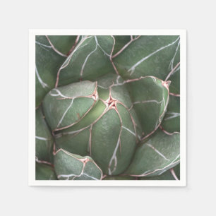 Serviettes Jetables Vert Succulent Plante Photo Cocktail Papier de Coc