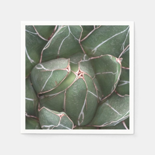 Serviettes Jetables Vert Succulent Plante Photo Cocktail Papier de Coc (Devant)