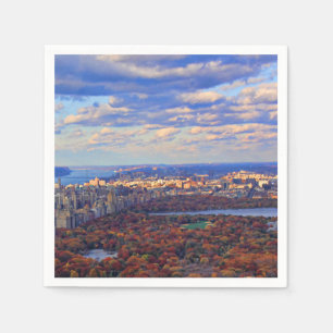 Serviettes Jetables Vue d'en haut : Automne à Central Park 01