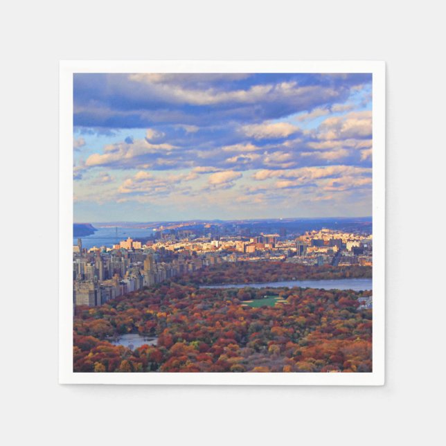 Serviettes Jetables Vue d'en haut : Automne à Central Park 01 (Devant)