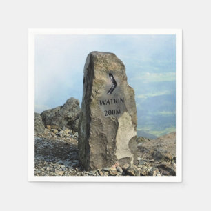 SERVIETTES JETABLES VUES DES ALLES