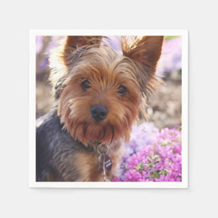 Serviettes Jetables Yorkshire Terrier