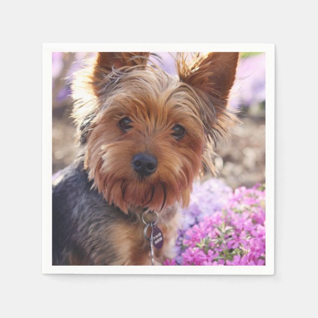 Serviettes Jetables Yorkshire Terrier (Devant)
