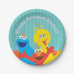 Sesame Pals Birthday Pattern Paper Plate