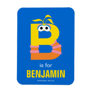 Sesame Street   B is for Big Bird Magnet