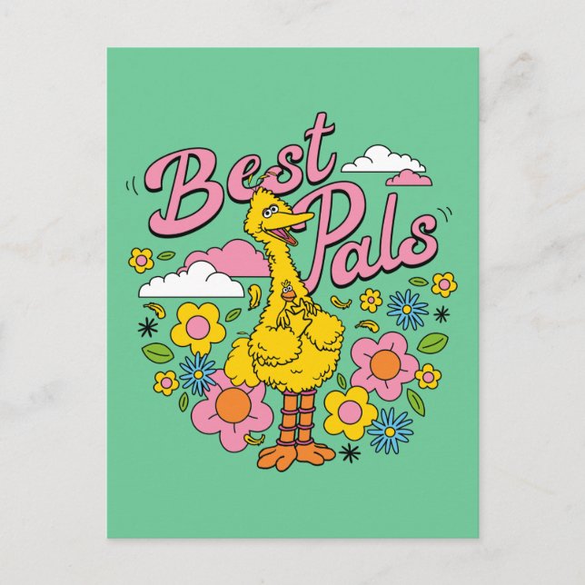Sesame Street | Best Yellow Bird Pals Postcard (Front)