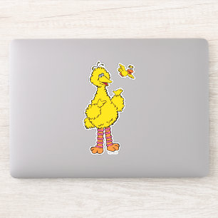 Sesame Street   Big Bird & Little Bird