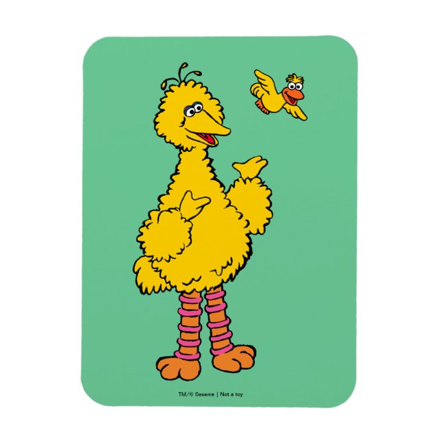 Sesame Street | Big Bird & Little Bird Magnet (Vertical)