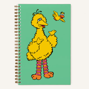 Sesame Street Big Bird & Little Bird Notebook