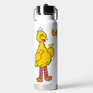 Sesame Street   Big Bird & Little Bird Water Bottle
