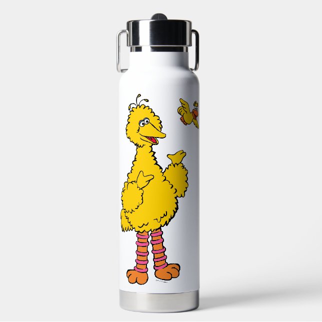 Sesame Street | Big Bird & Little Bird Water Bottle (Front)