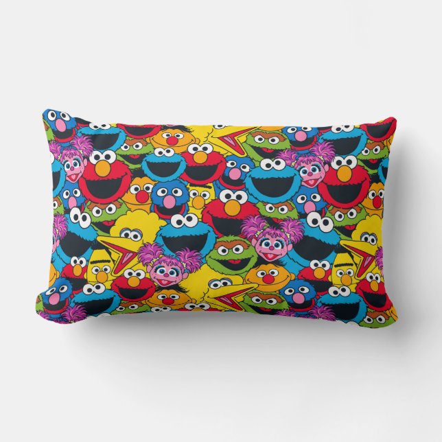 Sesame Street Crew Pattern Lumbar Pillow (Front)