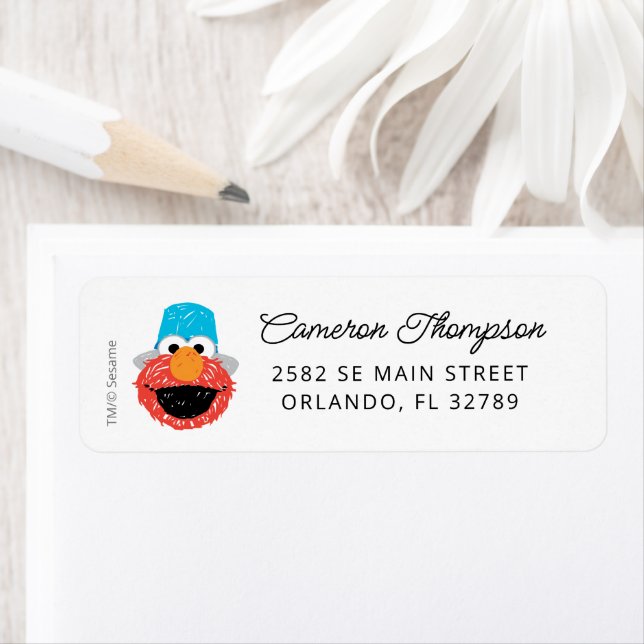 Sesame Street Elmo Confetti Birthday (Insitu)