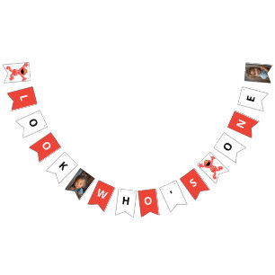 Sesame Street Elmo Crayon Birthday Bunting Flags