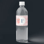 Sesame Street | Elmo - Pink Birthday Bottle Label<br><div class="desc">Plain water right? Wrong. It can be tough to get kids excited for water, especially at a party but with this cute water bottle label from Sesame Street, you know your kids will be healthy and happy. The perfect birthday accessory for that special baby's big day. Watch Elmo light up...</div>