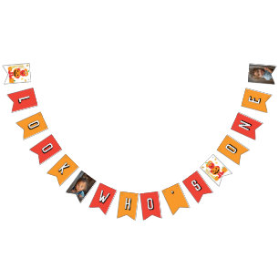 Sesame Street - Elmo Pumpkin First Birthday Bunting Flags