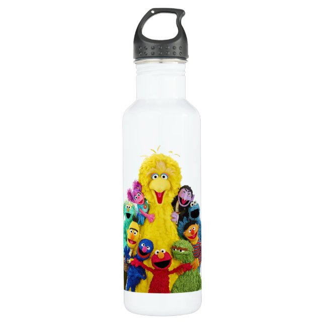 Sesame Street | Fun Colourful Pals Portrait 710 Ml Water Bottle (Front)