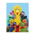 Sesame Street | Fun Colourful Pals Portrait